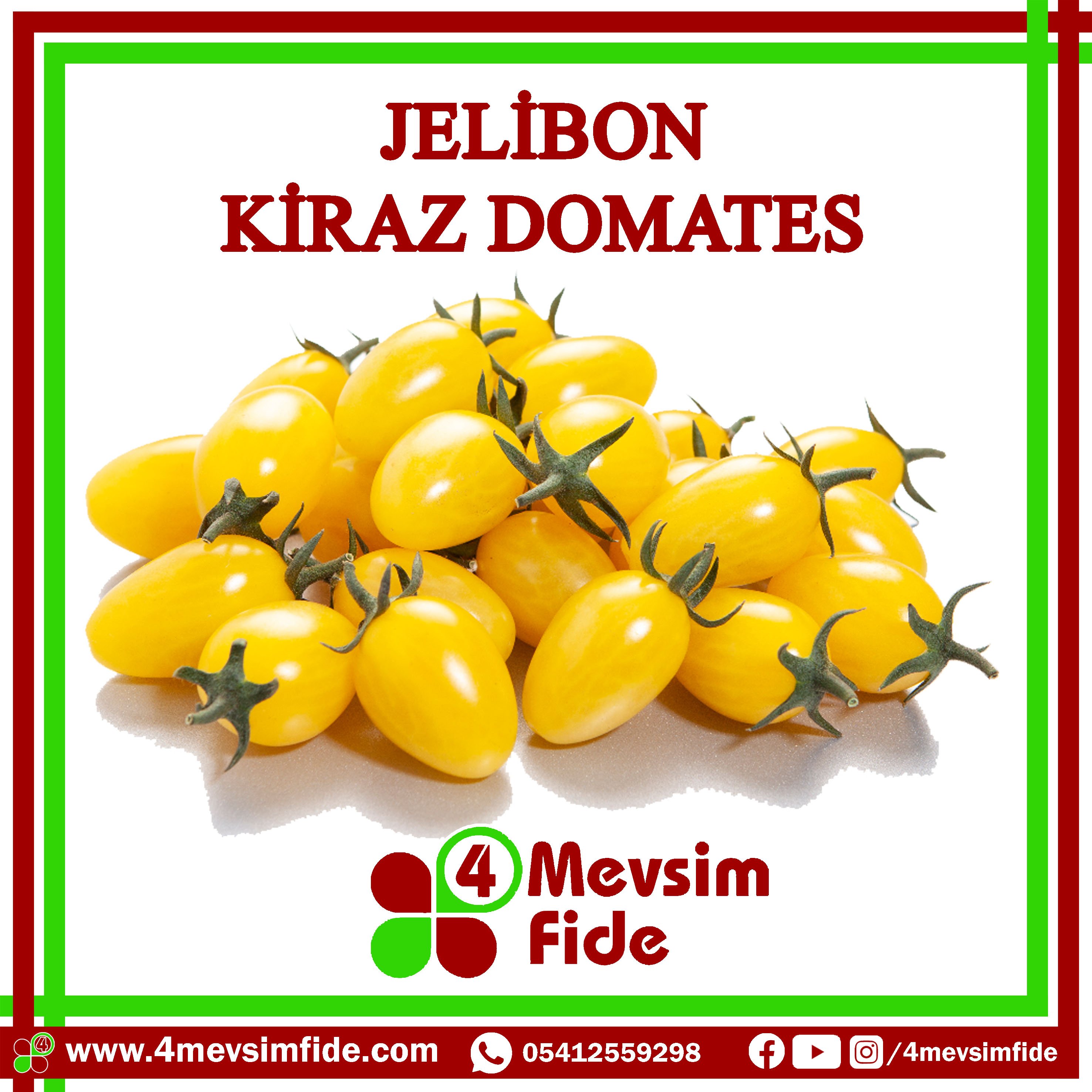 Jelibon F1 Kiraz Domates Fidesi